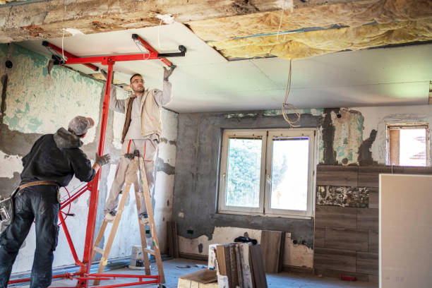 Best Eco-Friendly Insulation in Alton, IL