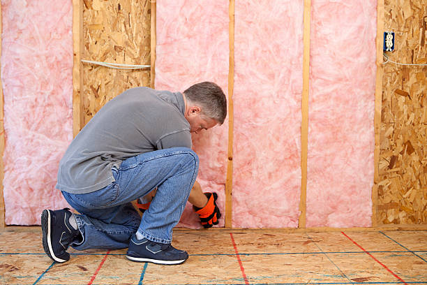 Best Cellulose Insulation in Alton, IL