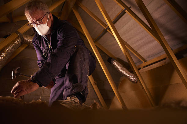 Professional Insulation Contractor in Alton, IL